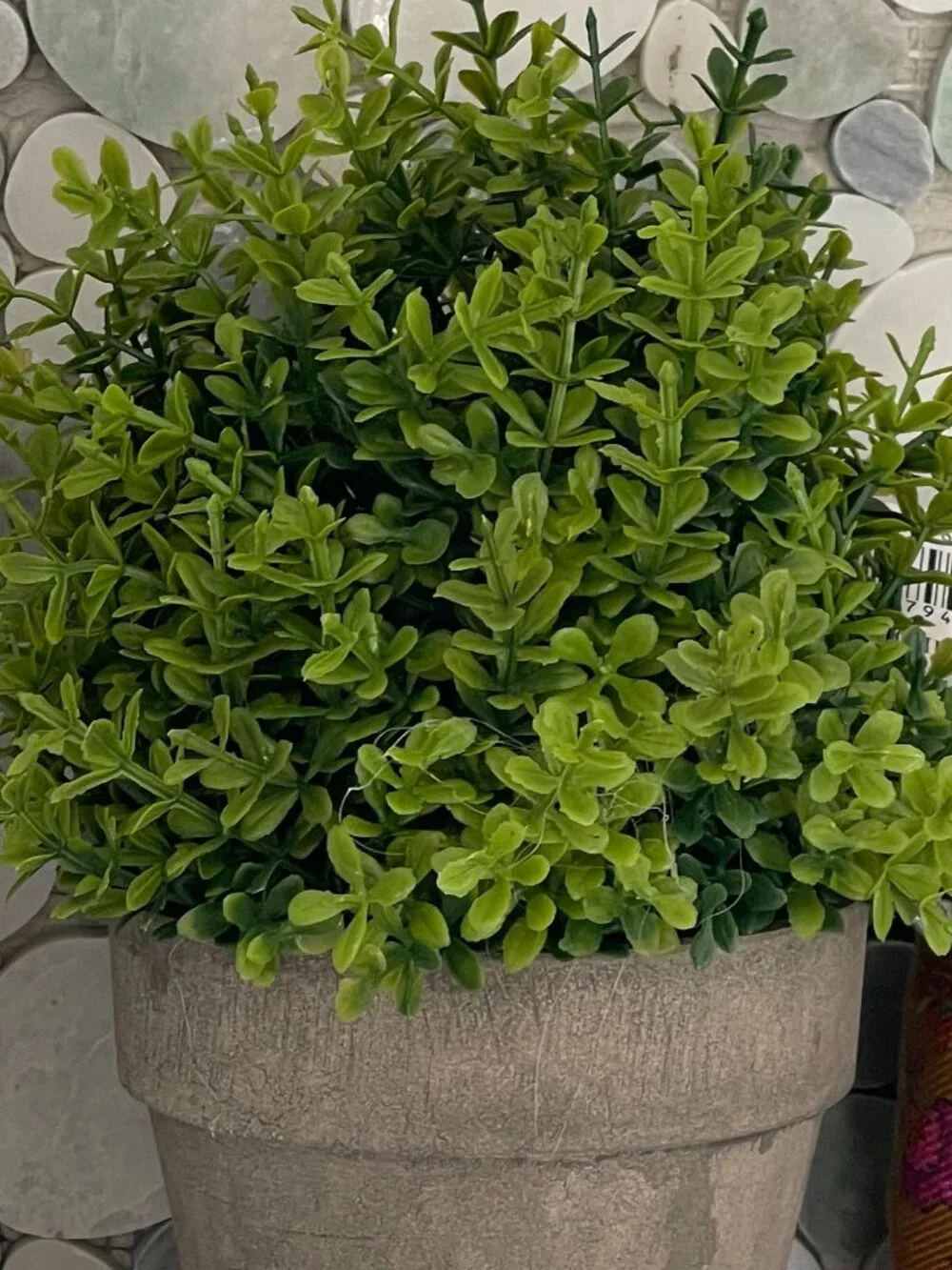 Nearly Natural Faux Boxwood + Natural Life Planter Cover Decor Bundle-NEW